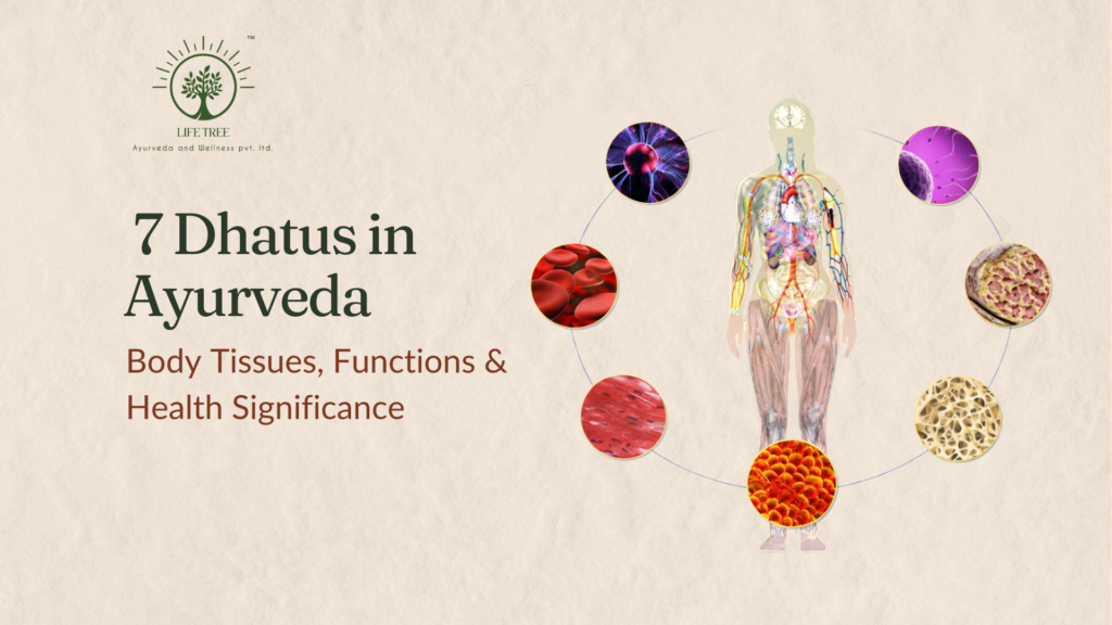 7 Dhatus in Ayurveda